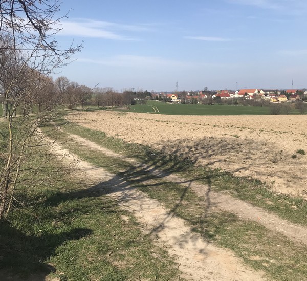 Bild einer Landschaft im Frühling