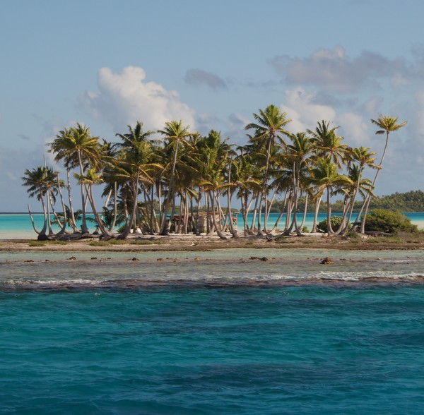 Abbildung einer tropischen Insel mit Palmen umgeben von blauem Wasser