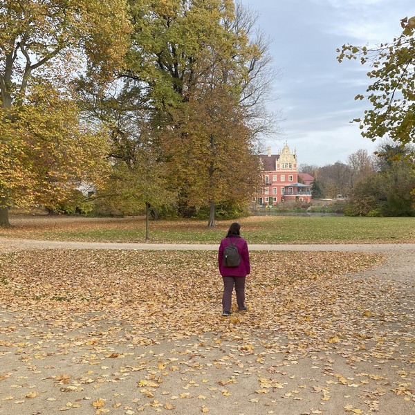 Abbildung einer Person in Rückenansicht in einem Park mit Blättern auf dem Boden, ein Schloss im Hintergrund